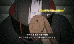 最新爆料蛇叔是谁啊视频,最新爆料，蛇叔身份大揭秘！