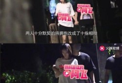 阿飞最新爆料,揭秘娱乐圈幕后真相