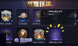 黄金龙骨爆料视频播放,独家爆料视频深度解析