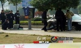 最新长沙爆料新闻,揭秘神秘事件背后的真相