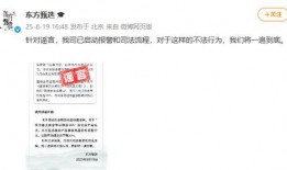 东方甄选商家爆料视频,爆款背后的秘密与挑战