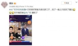 小朱直播爆料最新消息,最新热点事件幕后真相曝光！