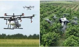 大疆植保机最新爆料,揭秘尖端农业科技革新之作