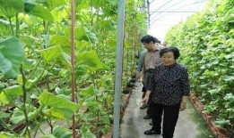 八十多万网红吃瓜是真的吗,八十多万网红吃瓜事件真相揭晓