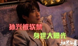 李连利身世爆料视频,身世之谜背后的传奇人生