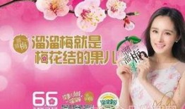 杨幂韩国爆料事件视频,揭秘背后真相与争议