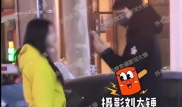 刘大锤爆料景甜视频大全,景甜视频大全幕后真相大曝光