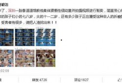 松柏道馆爆料视频播放大全,揭秘武术奥秘与精彩瞬间