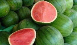 吃瓜娱乐营养,营养生活新风尚