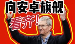 看齐新闻爆料怎么办,深度解析事件背后真相