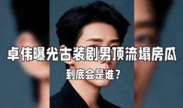 娱乐圈塌房是怎么爆料的,网络爆料背后的真相与影响