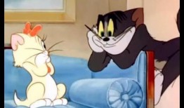 超萌爆料杰瑞女友视频大全,甜蜜瞬间，尽收眼底