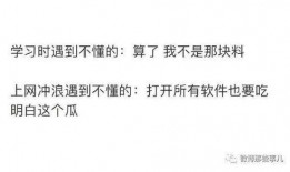 吃瓜老弟知乎全文下载免费,一场关于真相与娱乐的深度探讨
