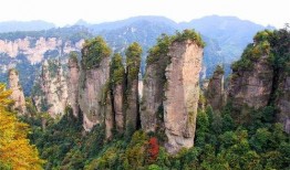 张家界导游爆料新闻事件,揭秘景区背后的惊人真相