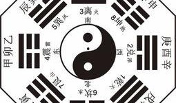 最新爆料八卦视频大全,八卦视频大全大揭秘！