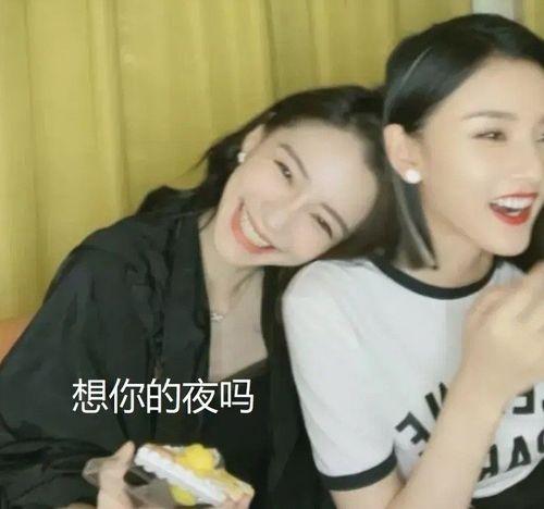 娱乐吃瓜酱和毒舌扒姨太,揭秘娱乐圈背后的真相与笑料